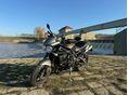 TRIUMPH STREET TRIPLE 675 R 2009 - 5