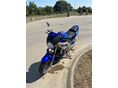 SUZUKI SV 650 N 2004/1 - 2