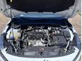 FORD FOCUS 2023/3 - 13