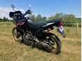 HONDA NX 650 DOMINATOR 1993/12 - 2