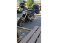 HONDA CB 600 F (HORNET) 2006/4 - 5
