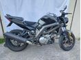 SUZUKI SV 1000 N 2004/9 - 2