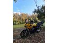 YAMAHA FZS 600 (FAZER) 2002/3 - 4