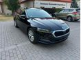 SKODA OCTAVIA 2022/2 - 2