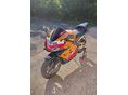 HONDA CBR 600 RR 2003/9 - 4