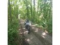 MOTRON X-NORD 125 2021/8 - 9