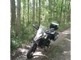 MOTRON X-NORD 125 2021/8 - 10