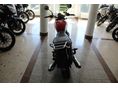 TRIUMPH BONNEVILLE 2015/3 - 5