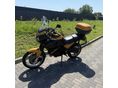TRIUMPH TIGER 900 