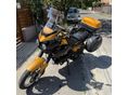 TRIUMPH TIGER 900 1999/1 - 7