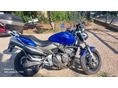 HONDA CB 600 F (HORNET) 2004 - 8