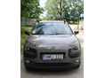 CITROEN C4 CACTUS 1.2 PureTech Shine EURO6