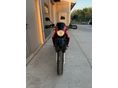 YAMAHA XT 660 X 2005/3 - 17
