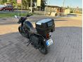 HONDA CL 500 2025 - 4