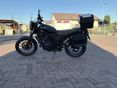 HONDA CL 500 2025 - 6