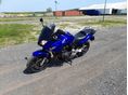 HONDA CBF 600 