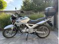 HONDA CBF 250 2006/6 - 3