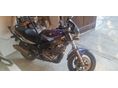 SUZUKI GS 500 E 2006/8 - 4