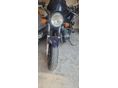 SUZUKI GS 500 E 2006/8 - 6