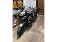 TRIUMPH STREET TRIPLE 2021/8 - 3