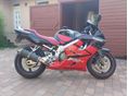HONDA CBR 600 F4 2004 - 5