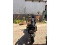 APRILIA PEGASO I.E. 650 2006/5 - 4