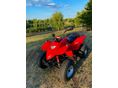 ADLY ATV 300 S RED