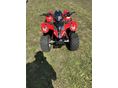 POLARIS PREDATOR 50