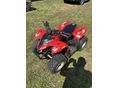 POLARIS PREDATOR 2009/4 - 2