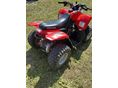 POLARIS PREDATOR 2009/4 - 4