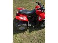 POLARIS PREDATOR 2009/4 - 5