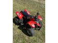 POLARIS PREDATOR 2009/4 - 6
