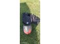 YAMAHA NMAX 2016/12 - 9
