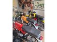 JAWA 50 TPY 23 MUSTANG 1980/5 - 7