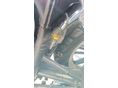 TRIUMPH BONNEVILLE 900 2011/7 - 9