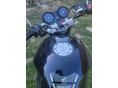 HONDA CBF 600 2004/4 - 4
