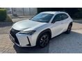 LEXUS UX 250h Comfort 4WD CVT HIBÁTLAN. GARANCIA. PRÉMIUM. ALCANTARA. SÁVTARTÓ