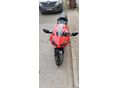HONDA CBR 600 RR 2006 - 5