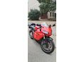 HONDA CBR 600 RR 2006 - 6