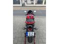 HONDA CBR 600 RR 2007/6 - 7