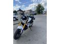 BMW G 310 R 