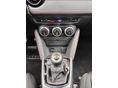 MAZDA 2 2015/6 - 13