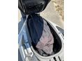 HONDA FORZA 350 2021/8 - 6