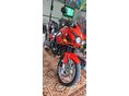 TRIUMPH TIGER 955I 2005 - 10