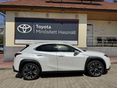 LEXUS UX 2023/2 - 2