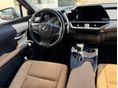 LEXUS UX 2023/2 - 7