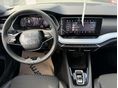 SKODA OCTAVIA 2026/7 - 7