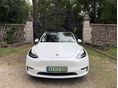 TESLA MODEL Y 2024/6 - 2
