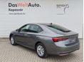 SKODA OCTAVIA 2026/7 - 2