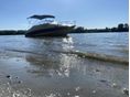 BAYLINER 1994 - 2
